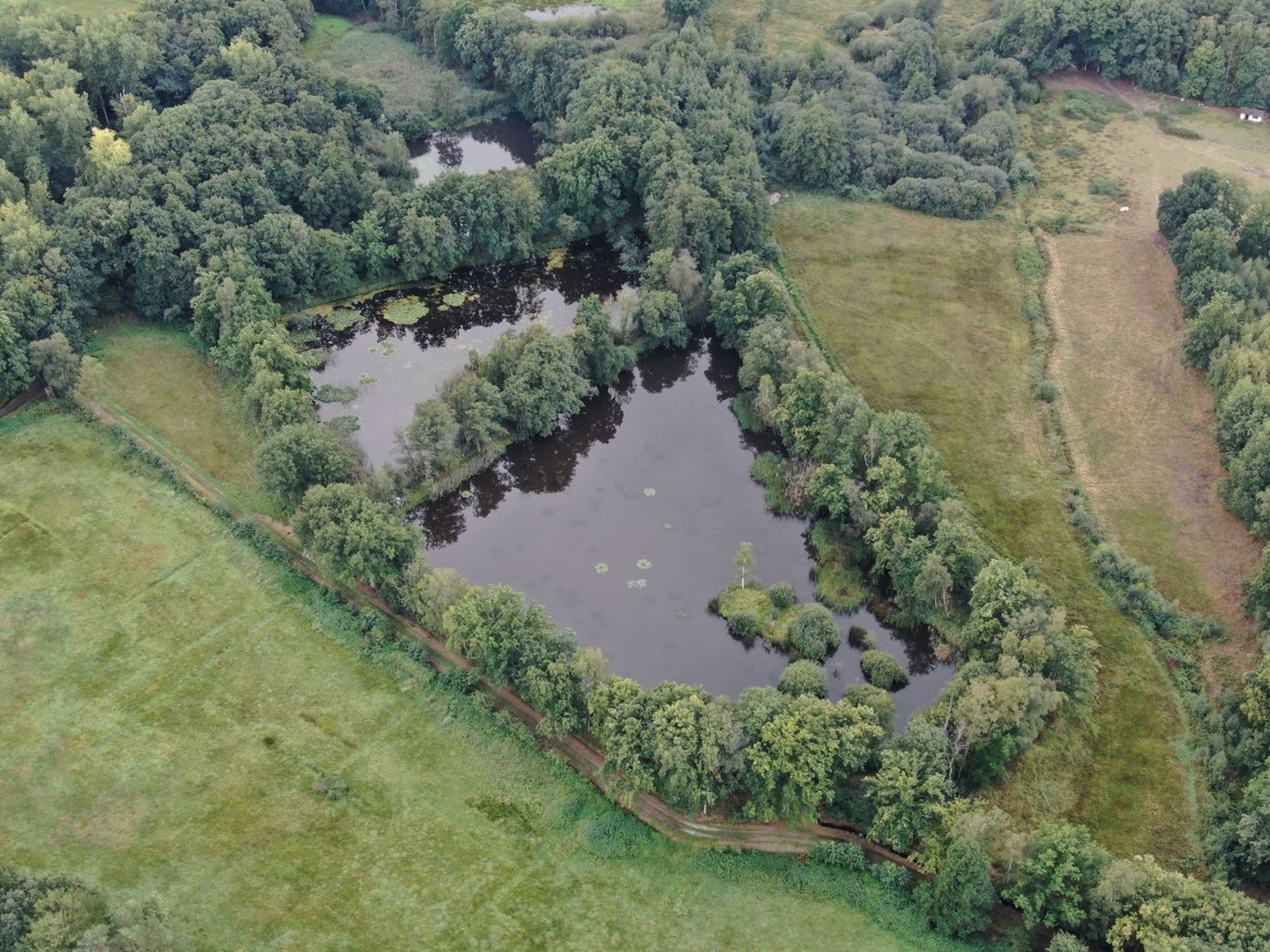 Nature Carp lake