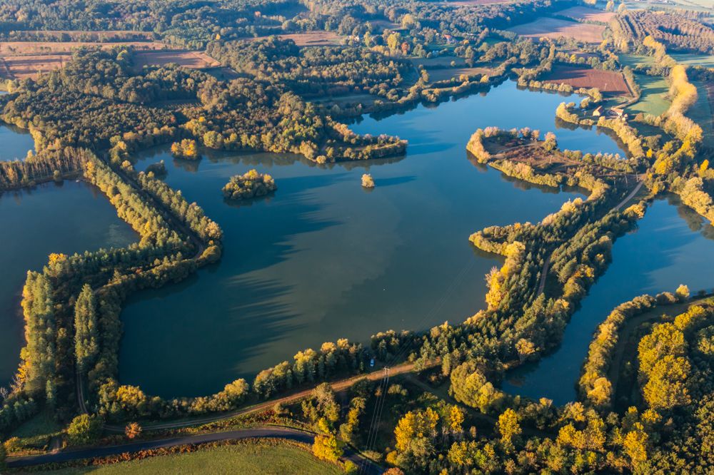 Etang de la Livardiere